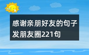 感謝親朋好友的句子發(fā)朋友圈221句