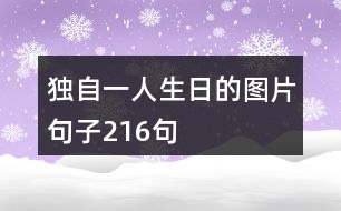 獨(dú)自一人生日的圖片句子216句