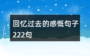 回憶過(guò)去的感慨句子222句