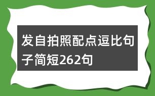 發(fā)自拍照配點逗比句子簡短262句