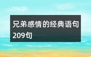 兄弟感情的經典語句209句