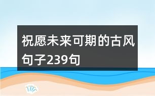 祝愿未來可期的古風(fēng)句子239句