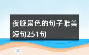 夜晚景色的句子唯美短句251句