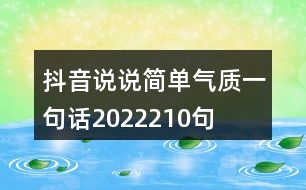 抖音說(shuō)說(shuō)簡(jiǎn)單氣質(zhì)一句話2022210句