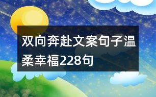 雙向奔赴文案句子溫柔幸福228句