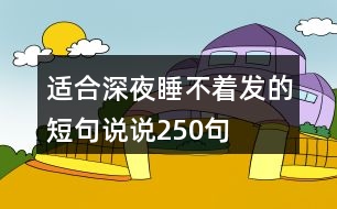 適合深夜睡不著發(fā)的短句說說250句