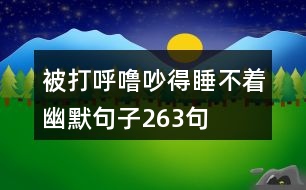 被打呼嚕吵得睡不著幽默句子263句