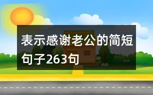 表示感謝老公的簡(jiǎn)短句子263句