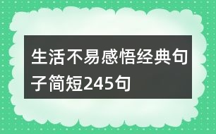 生活不易感悟經(jīng)典句子簡(jiǎn)短245句