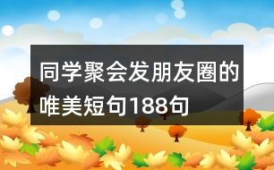 同學(xué)聚會發(fā)朋友圈的唯美短句188句