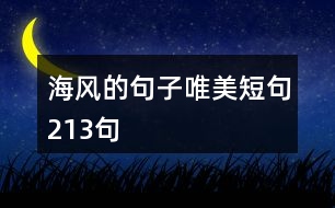 海風的句子唯美短句213句