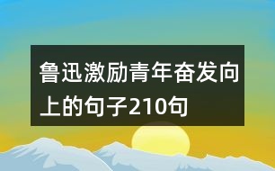 魯迅激勵青年奮發(fā)向上的句子210句