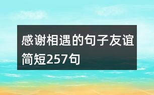 感謝相遇的句子友誼簡短257句