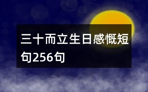 三十而立生日感慨短句256句