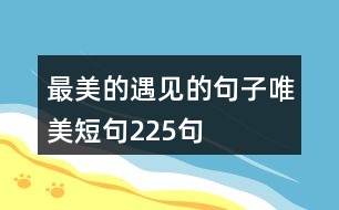 最美的遇見的句子唯美短句225句