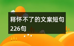 釋懷不了的文案短句226句