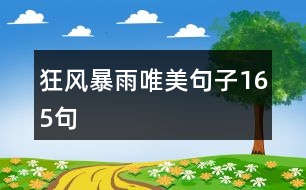 狂風(fēng)暴雨唯美句子165句