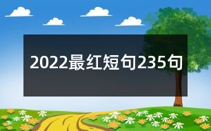 2022最紅短句235句