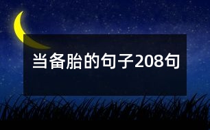 當備胎的句子208句