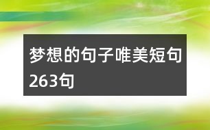 夢想的句子唯美短句263句