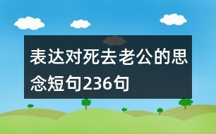 表達對死去老公的思念短句236句