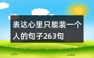 表達(dá)心里只能裝一個(gè)人的句子263句