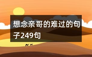 想念親哥的難過(guò)的句子249句