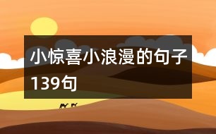 小驚喜小浪漫的句子139句