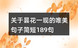 關于曇花一現的唯美句子簡短189句