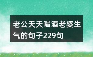 老公天天喝酒老婆生氣的句子229句