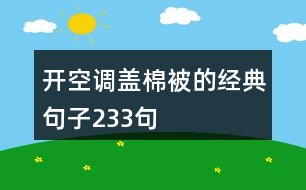 開空調(diào)蓋棉被的經(jīng)典句子233句