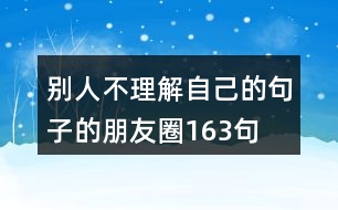 別人不理解自己的句子的朋友圈163句