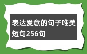 表達(dá)愛意的句子唯美短句256句