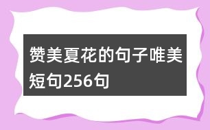 贊美夏花的句子唯美短句256句