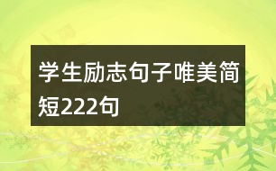 學(xué)生勵志句子唯美簡短222句