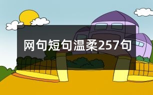 網(wǎng)句短句溫柔257句