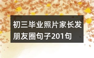 初三畢業(yè)照片家長(zhǎng)發(fā)朋友圈句子201句