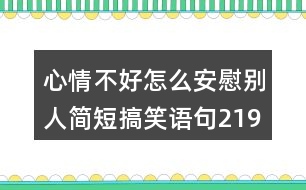 心情不好怎么安慰別人簡短搞笑語句219句