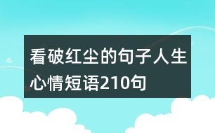 看破紅塵的句子人生心情短語(yǔ)210句