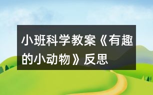 小班科學(xué)教案《有趣的小動(dòng)物》反思