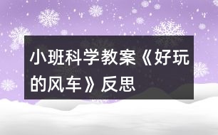 小班科學(xué)教案《好玩的風(fēng)車》反思