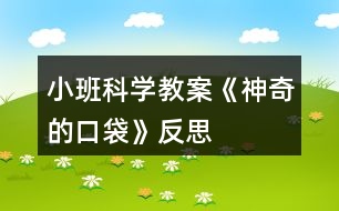 小班科學教案《神奇的口袋》反思