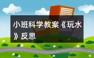 小班科學(xué)教案《玩水》反思