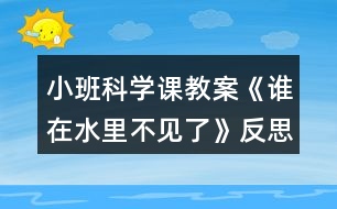 小班科學(xué)課教案《誰在水里不見了》反思