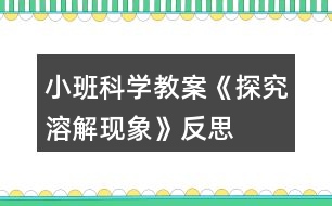 小班科學(xué)教案《探究溶解現(xiàn)象》反思