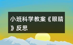 小班科學(xué)教案《眼睛》反思