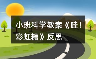 小班科學(xué)教案《哇！彩虹糖》反思