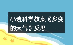 小班科學(xué)教案《多變的天氣》反思