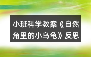 小班科學教案《自然角里的小烏龜》反思