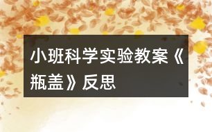 小班科學(xué)實(shí)驗(yàn)教案《瓶蓋》反思